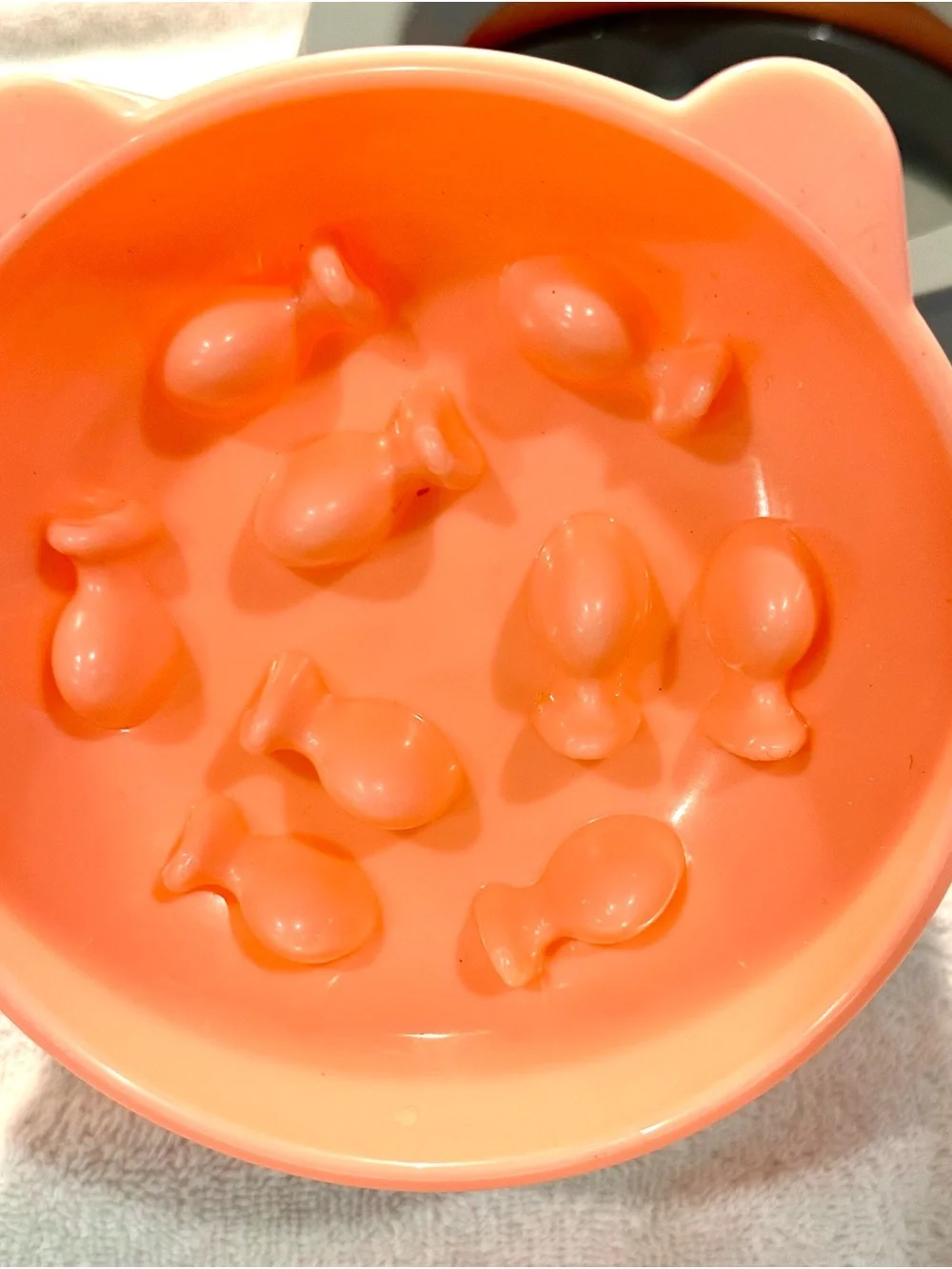 New pet water and slow feeder dish Bowl Set - for cat or dog 🐕